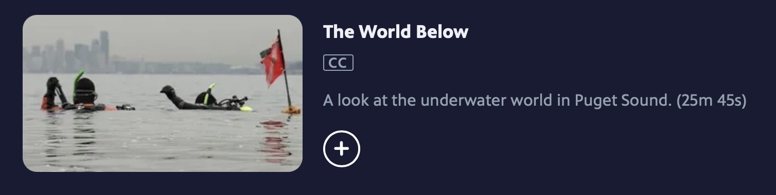 Link to 26 minute PBS show Link to 26 minute PBS show