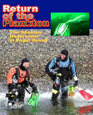 DVD with 27 minute underwater video, photo gallery with identification of over 100 plants and animals from the video and study aids. Cover of DVD with 27 minute underwater video, photo gallery with identification of over 100 plants and animals from the video and study aids.